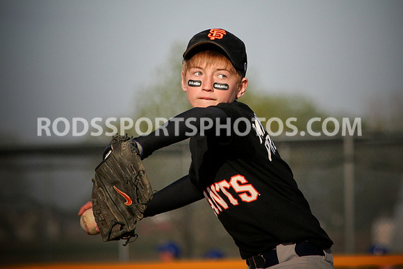 Picture of the Week 4/12-4/18