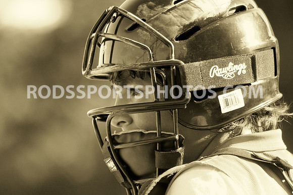 Picture of the week 7/5-7/12