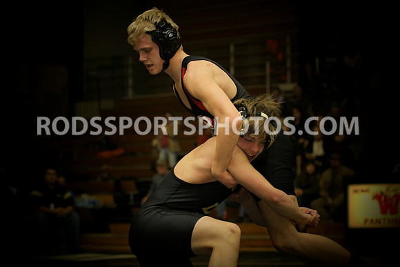 Picture of the Week 1/23-1/30