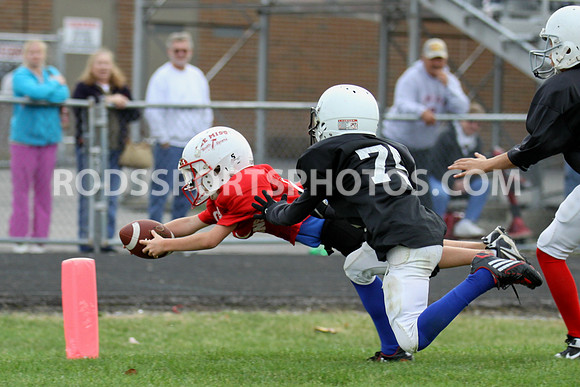 Picture of the Week 10/18-10/25