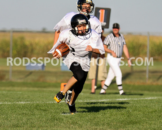 Picture of the week 8/23-8/30
