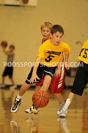 Picture of the Week 11/7-11/14